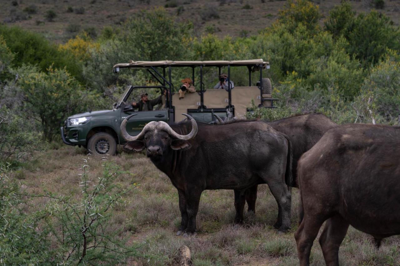 Kuzuko Lodge Addo Exterior foto
