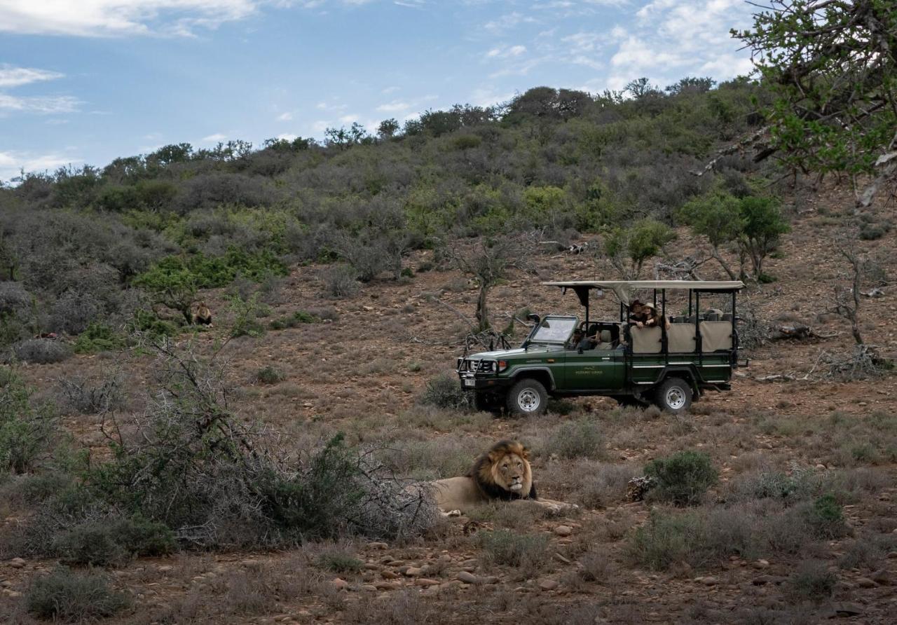Kuzuko Lodge Addo Exterior foto
